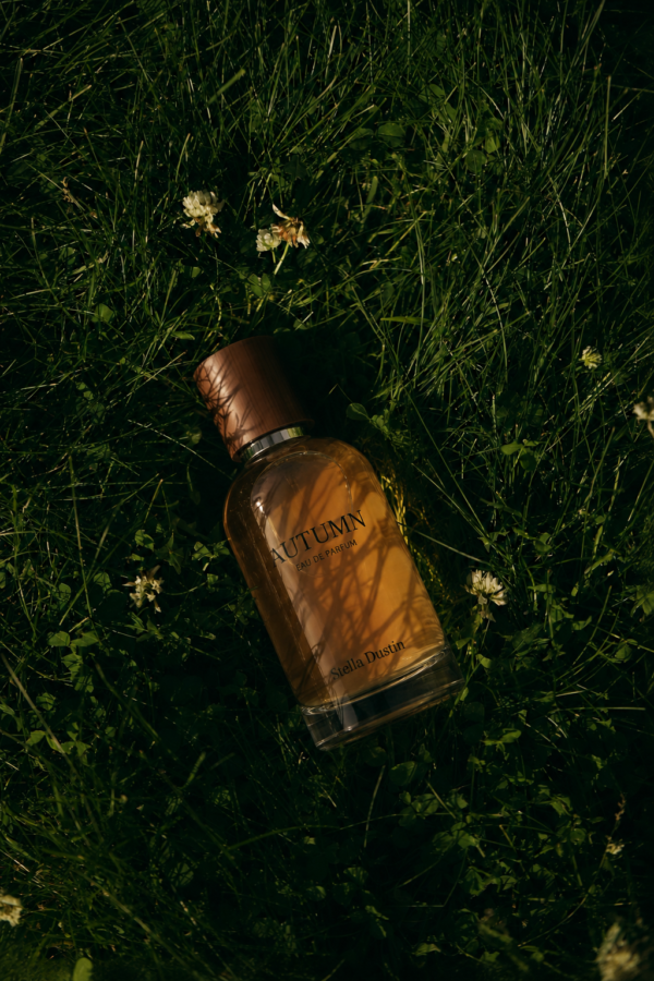 inspiración: creed silver mountain water. privé platinum de riiffs – eau de parfum 100 ml
