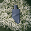 inspiración: creed silver mountain water. privé platinum de riiffs – eau de parfum 100 ml inspiración: creed silver mountain water. privé platinum de riiffs – eau de parfum 100 ml
