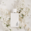 inspiración: creed silver mountain water. privé platinum de riiffs – eau de parfum 100 ml