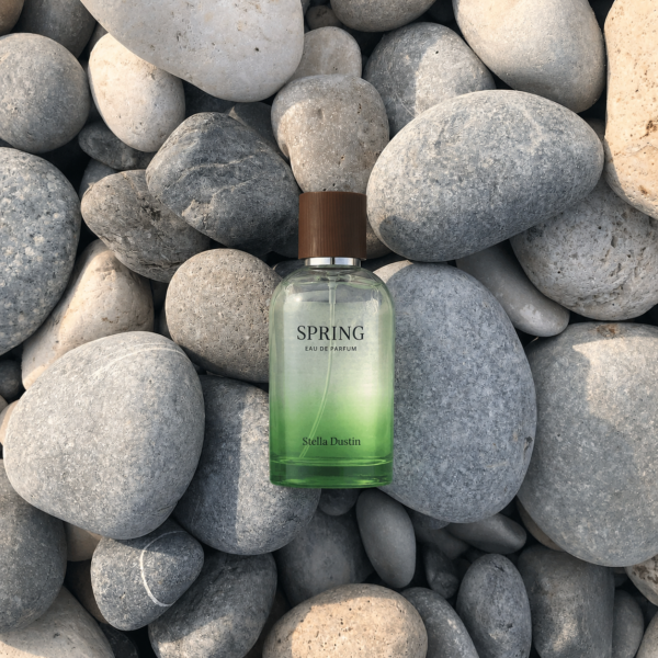 inspiración: creed silver mountain water. privé platinum de riiffs – eau de parfum 100 ml