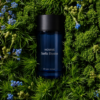 inspiración: creed silver mountain water. privé platinum de riiffs – eau de parfum 100 ml