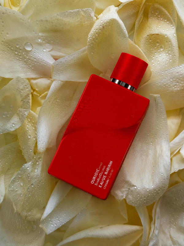 inspiración: creed silver mountain water. privé platinum de riiffs – eau de parfum 100 ml