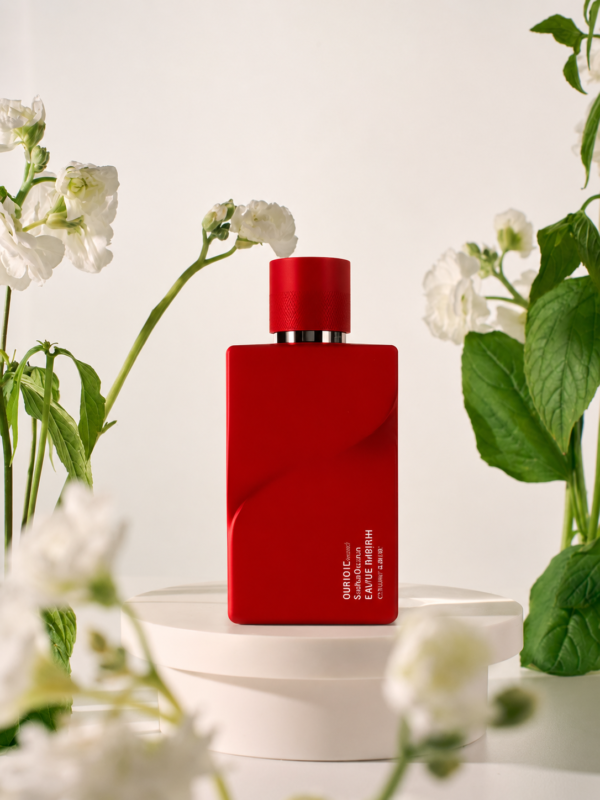 inspiración: creed silver mountain water. privé platinum de riiffs – eau de parfum 100 ml