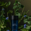 inspiración: creed silver mountain water. privé platinum de riiffs – eau de parfum 100 ml