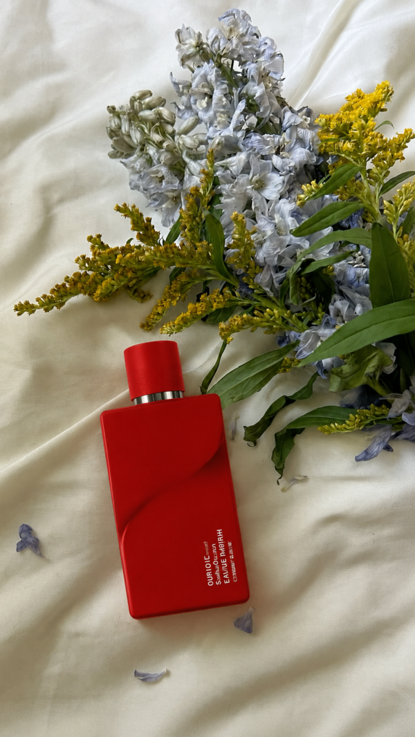 inspiración: creed silver mountain water. privé platinum de riiffs – eau de parfum 100 ml