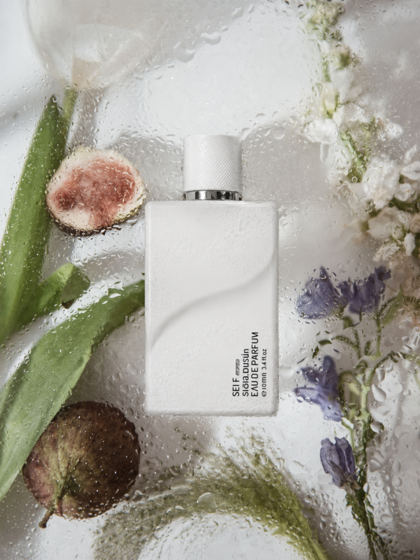 inspiración: creed silver mountain water. privé platinum de riiffs – eau de parfum 100 ml