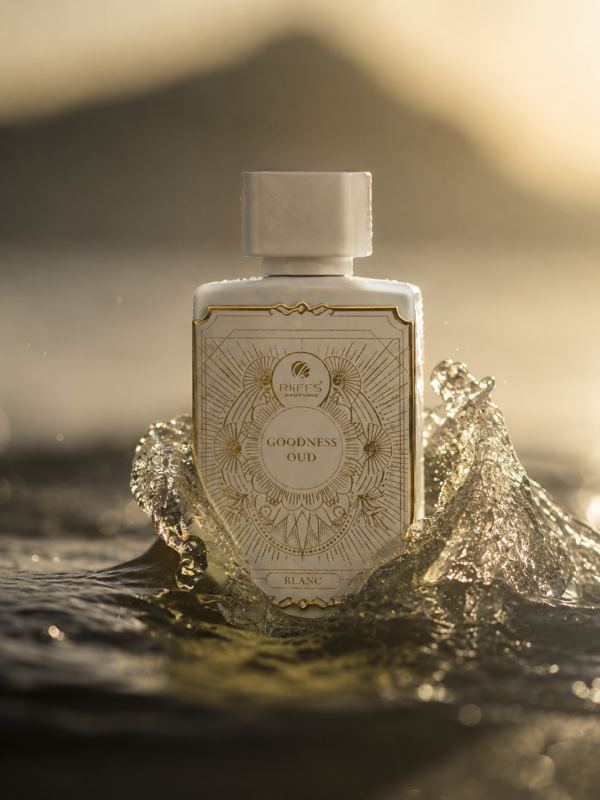 inspiración: creed silver mountain water. privé platinum de riiffs – eau de parfum 100 ml inspiración: creed silver mountain water. privé platinum de riiffs – eau de parfum 100 ml
