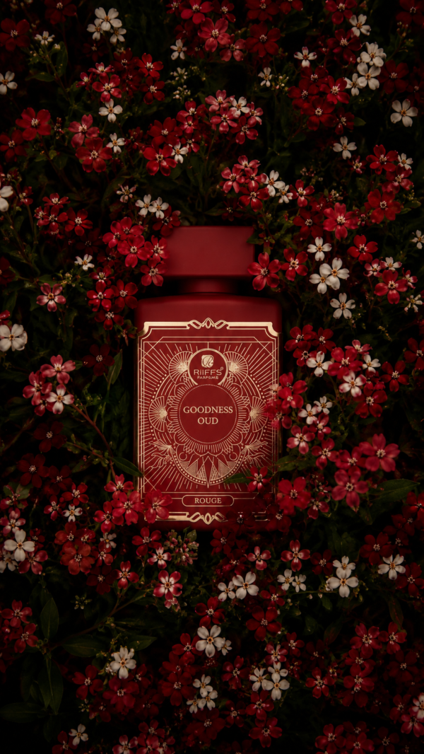 inspiración: creed silver mountain water. privé platinum de riiffs – eau de parfum 100 ml inspiración: creed silver mountain water. privé platinum de riiffs – eau de parfum 100 ml
