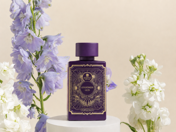 inspiración: creed silver mountain water. privé platinum de riiffs – eau de parfum 100 ml inspiración: creed silver mountain water. privé platinum de riiffs – eau de parfum 100 ml
