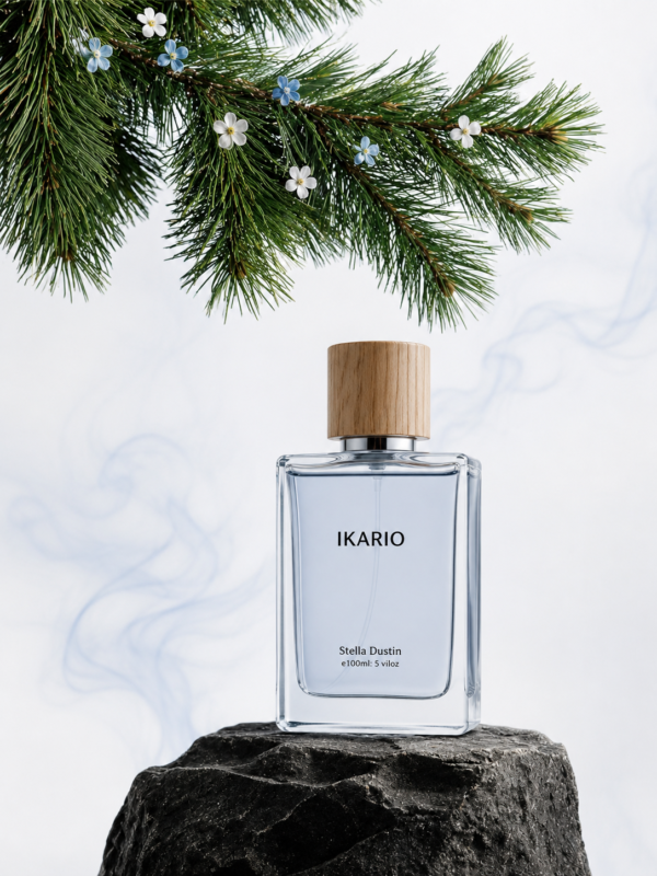 inspiración: creed silver mountain water. privé platinum de riiffs – eau de parfum 100 ml