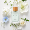 inspiración: creed silver mountain water. privé platinum de riiffs – eau de parfum 100 ml inspiración: creed silver mountain water. privé platinum de riiffs – eau de parfum 100 ml