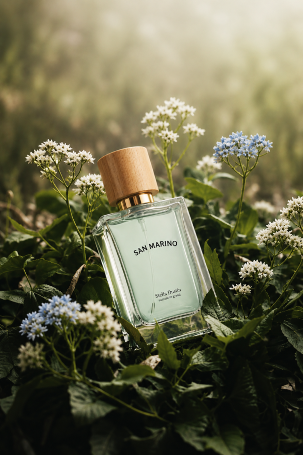 inspiración: creed silver mountain water. privé platinum de riiffs – eau de parfum 100 ml inspiración: creed silver mountain water. privé platinum de riiffs – eau de parfum 100 ml